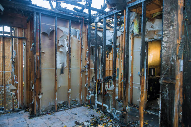 Professional Fire Damage Removal technician working in Montrose, PA